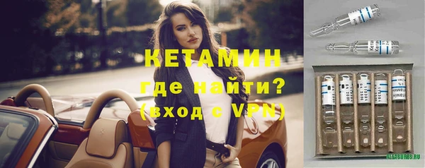 индика Тутаев