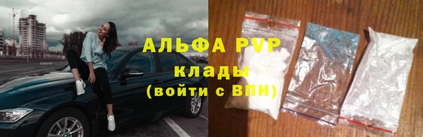 индика Тутаев