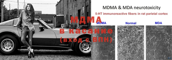 индика Тутаев
