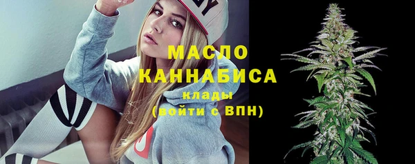 индика Тутаев