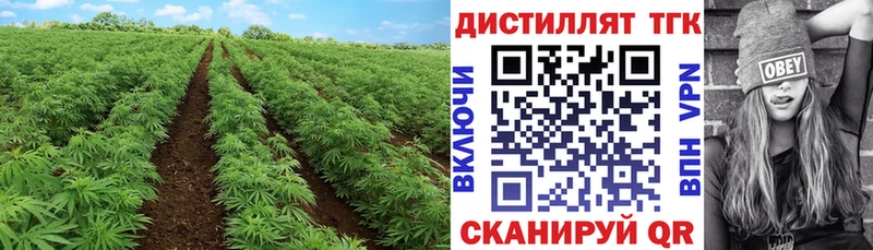 Купить где  Губаха  Дистиллят ТГК вейп 