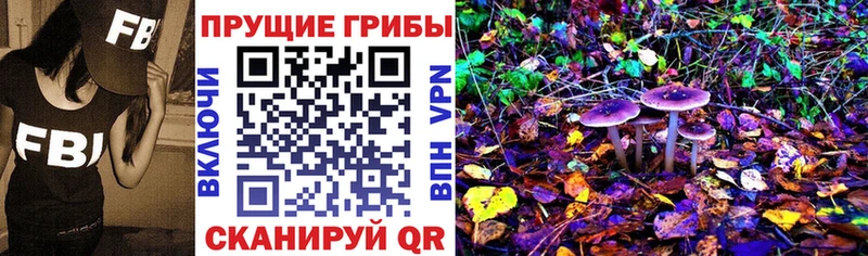 Купить где  Губаха  Псилоцибиновые грибы GOLDEN TEACHER 